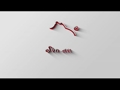 Чистильщик для шерсти HY-353